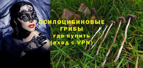 ECSTASY Аркадак