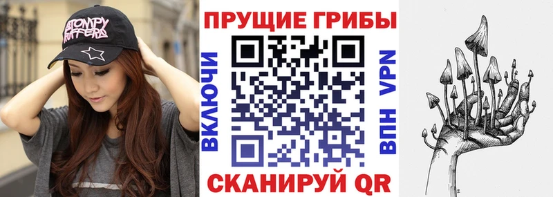 Псилоцибиновые грибы Psilocybine cubensis Горячий Ключ