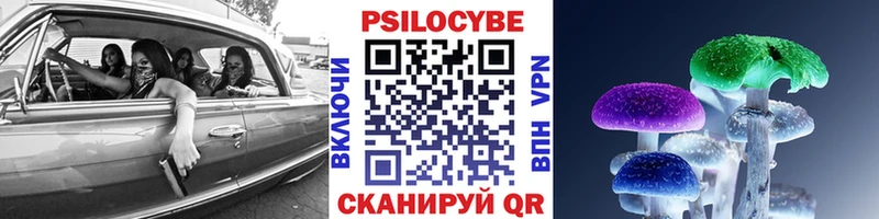 Псилоцибиновые грибы Magic Shrooms  Горячий Ключ 