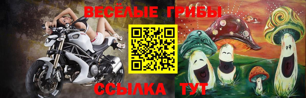 A-PVP СОЛЬ   МЕФ кристаллы  ЭКСТАЗИ  Cocaine  Магазины продажи наркотиков  Героин  Меф   НБОМе  Горячий Ключ  Бошки Шишки 