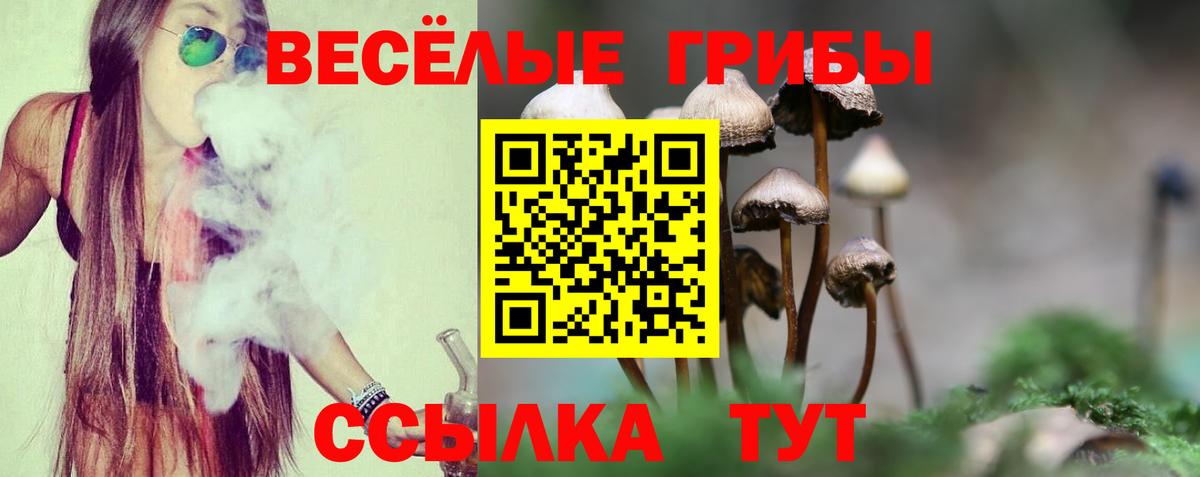 Галлюциногенные грибы Psilocybine cubensis  Вход с VPN  Горячий Ключ 